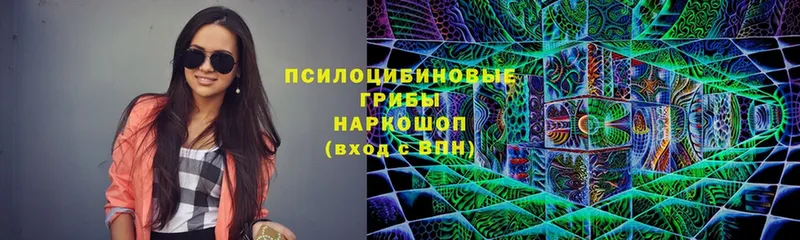 Псилоцибиновые грибы MAGIC MUSHROOMS Ардон